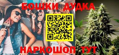 сатива Моздок