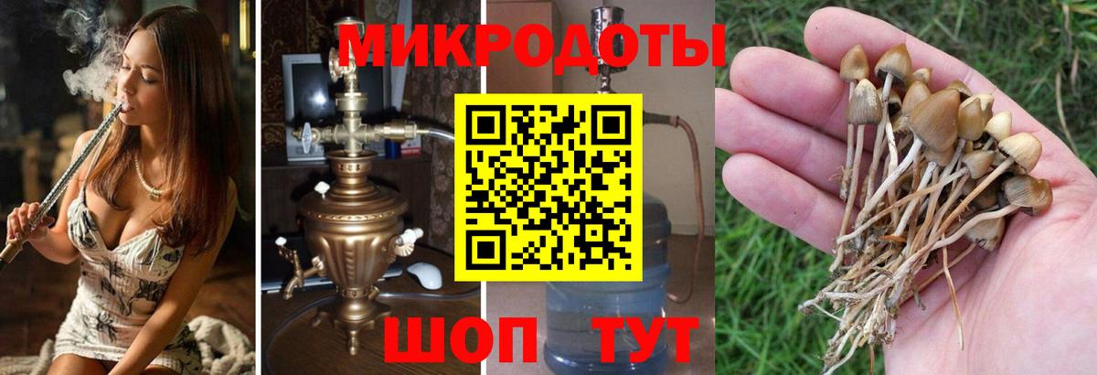 Псилоцибиновые грибы мухоморы  Вход с VPN  Псилоцибиновые грибы GOLDEN TEACHER  Рузаевка 